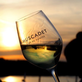 Muscadet