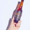 Stout Toujours 33cl